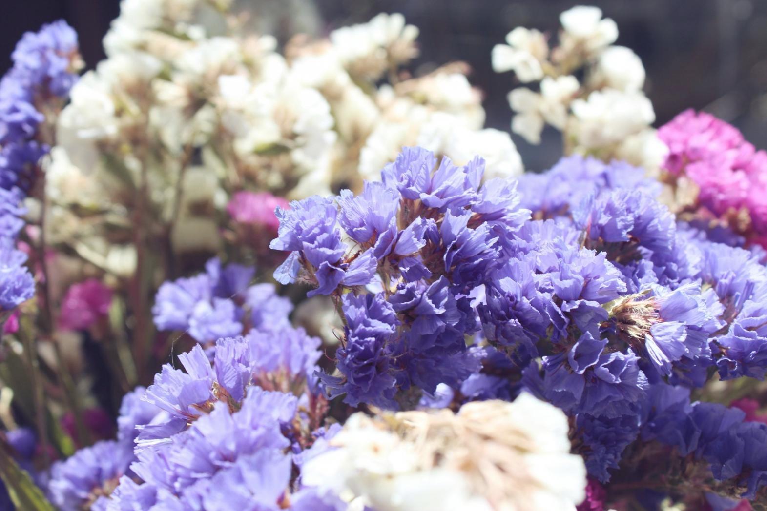 Floristik-Workshop mit frischen Blumen